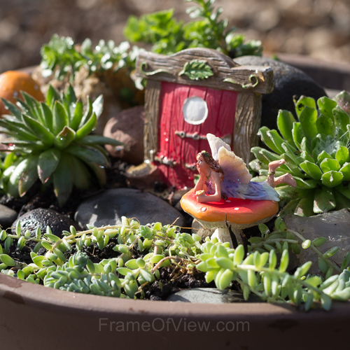 fairy garden